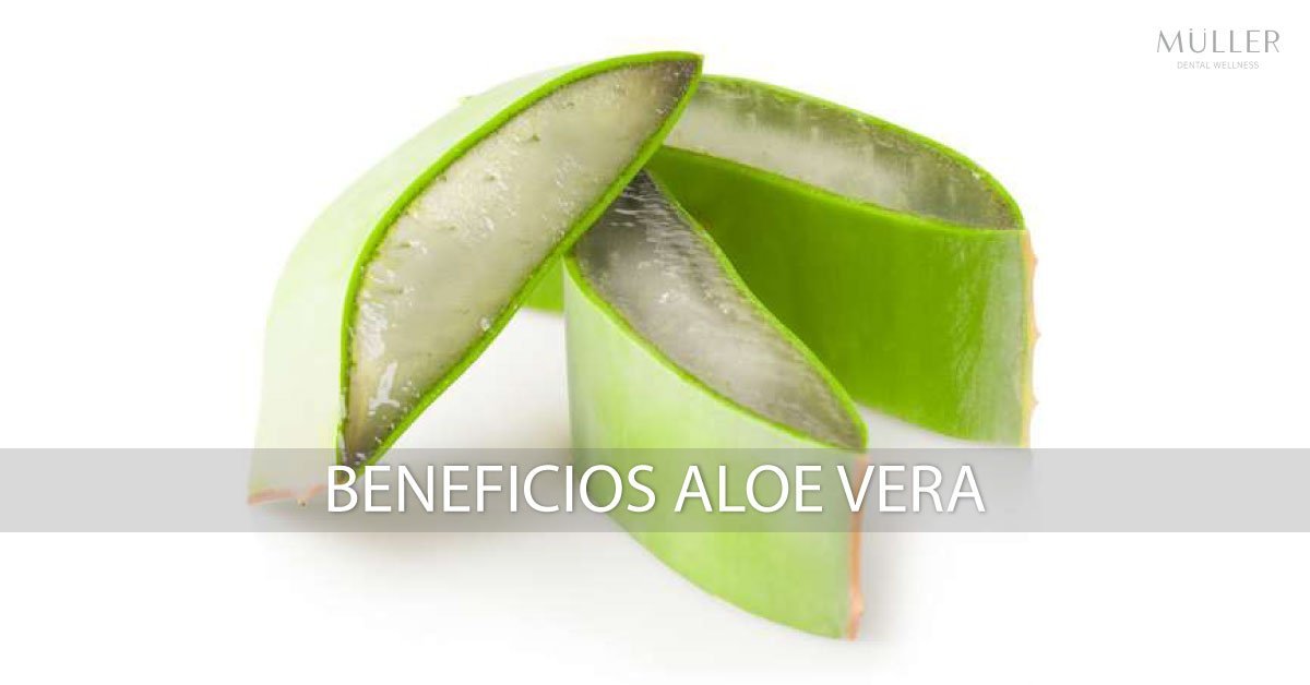 Beneficios del Aloe Vera en la enfermedad periodontal